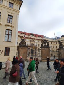 IMG_20241104_110200