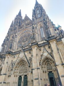 IMG_20241104_110946