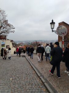 IMG_20241104_113750