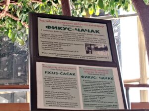 IMG_20260423_124726